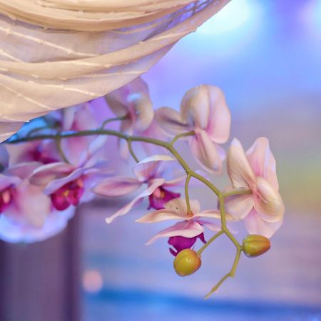 Dream & Relax Villa Fiore 바리 외부 사진