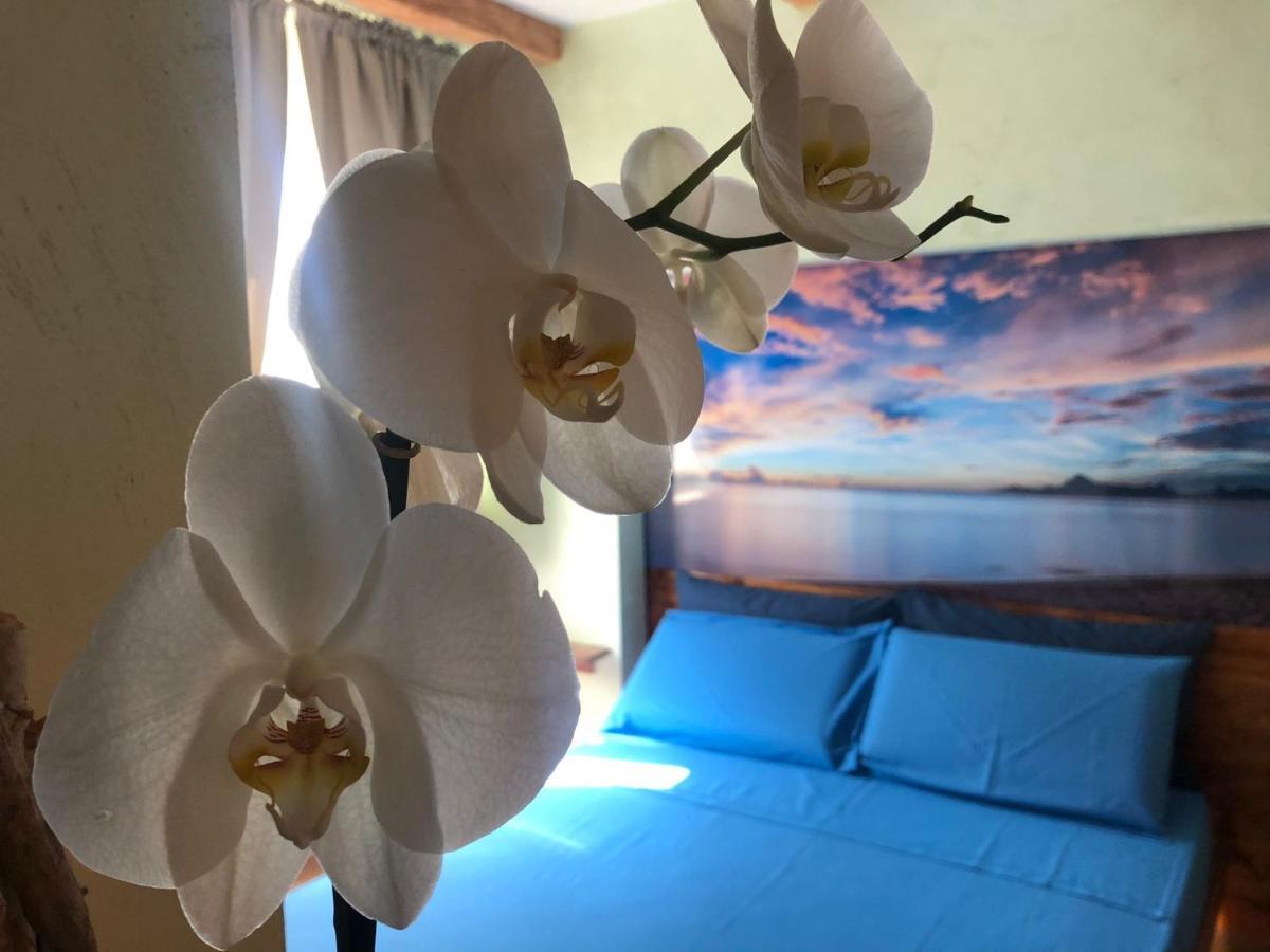 Dream & Relax Villa Fiore 바리 외부 사진