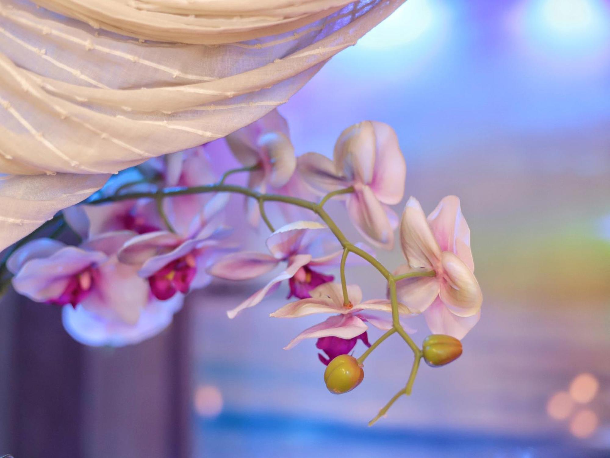Dream & Relax Villa Fiore 바리 외부 사진